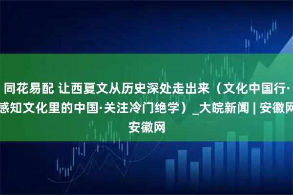 同花易配 让西夏文从历史深处走出来（文化中国行·感知文化里的中国·关注冷门绝学）_大皖新闻 | 安徽网