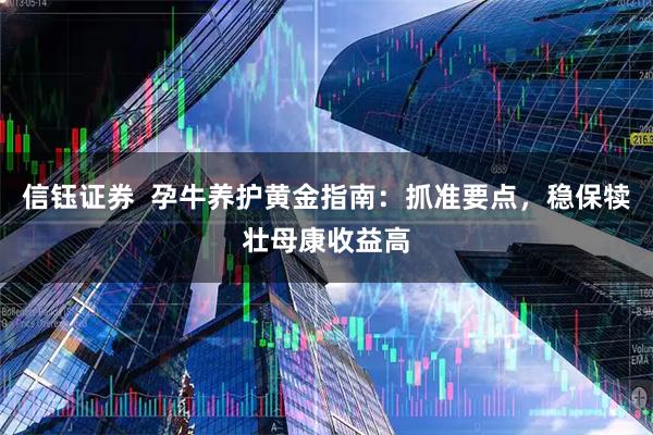 信钰证券  孕牛养护黄金指南：抓准要点，稳保犊壮母康收益高